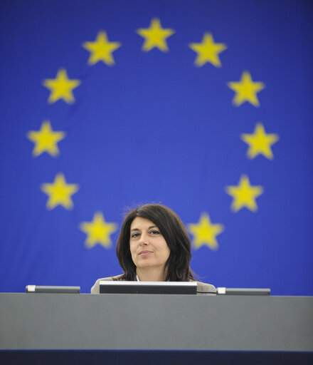 Zdjęcie 35: Plenary Session week - Asset recovery to Arab Spring countries