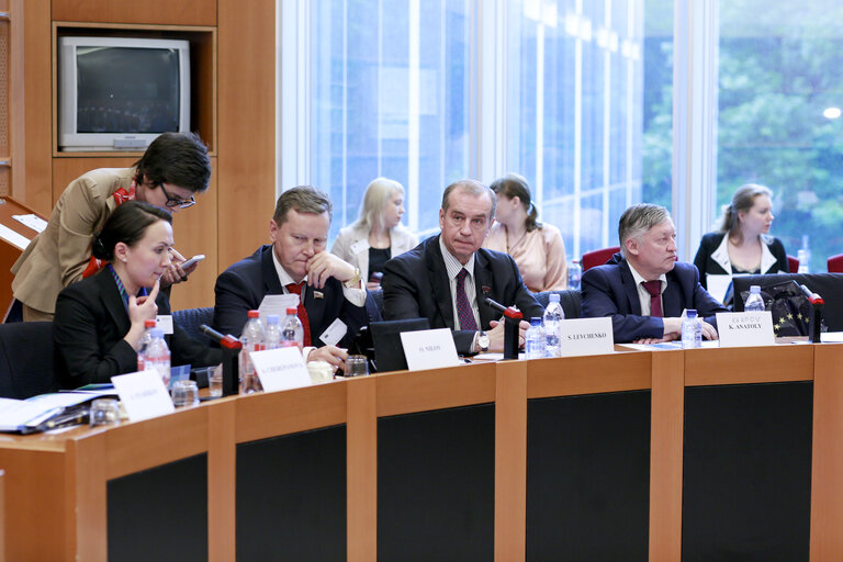 Fotografi 10: Second meeting of Inter Parliamentary working group EU Russia on energy issues