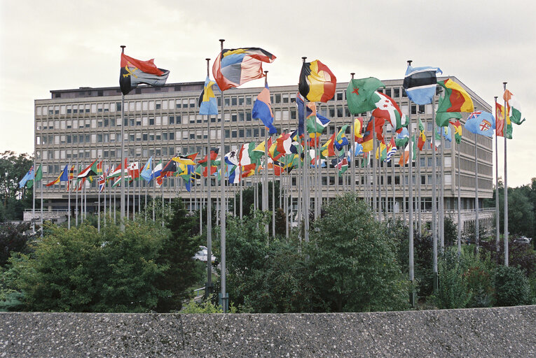 Foto 22: Flags in front of the EP Schuman building in Luxembourg