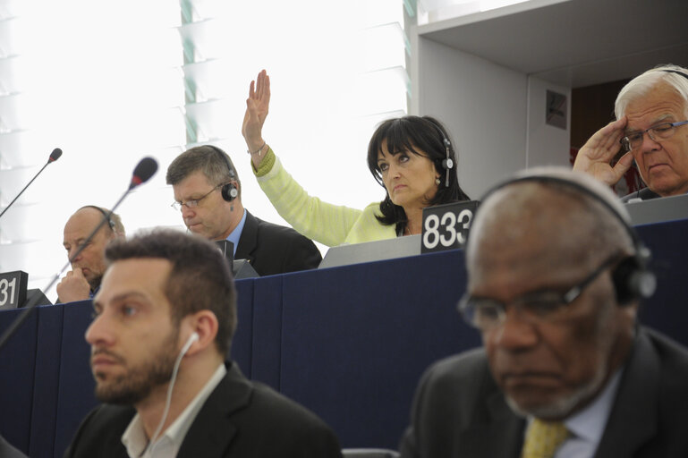 Foto 3: Plenary session week 21 2013