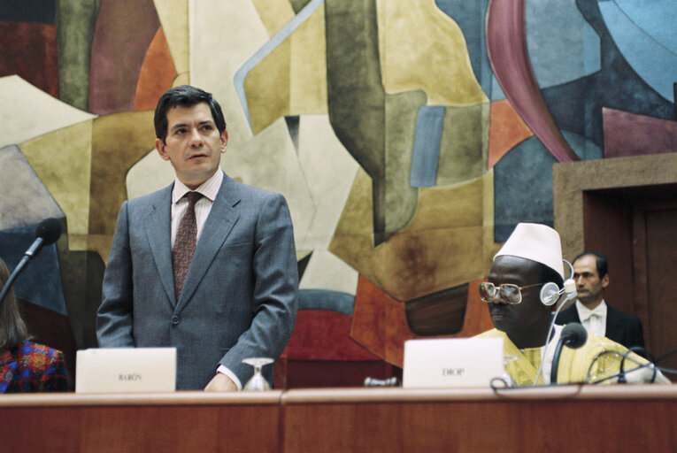 Foto 33: 11th session of the ACP-EEC Joint-Parliamentary Assembly (Assemblee paritaire) in Luxembourg from 24 to 28 September 1990