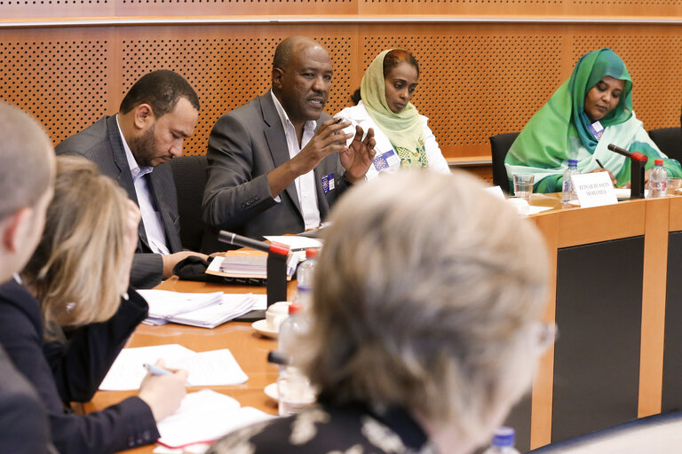 Foto 5: Exchange of views between EU Special Representative to Sudan and group of the Sudan Young Political Leaders