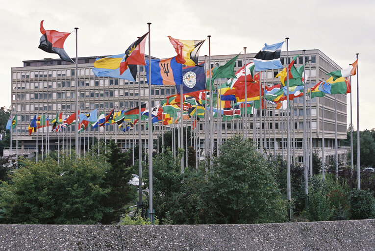 Foto 21: Flags in front of the EP Schuman building in Luxembourg