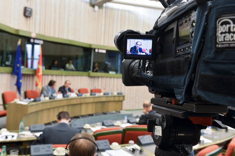 Fotografi 43: European Union - Former Yugoslav republic of Macedonia joint parliamentary committee.