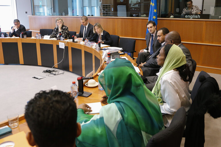 Φωτογραφία 1: Exchange of views between EU Special Representative to Sudan and group of the Sudan Young Political Leaders