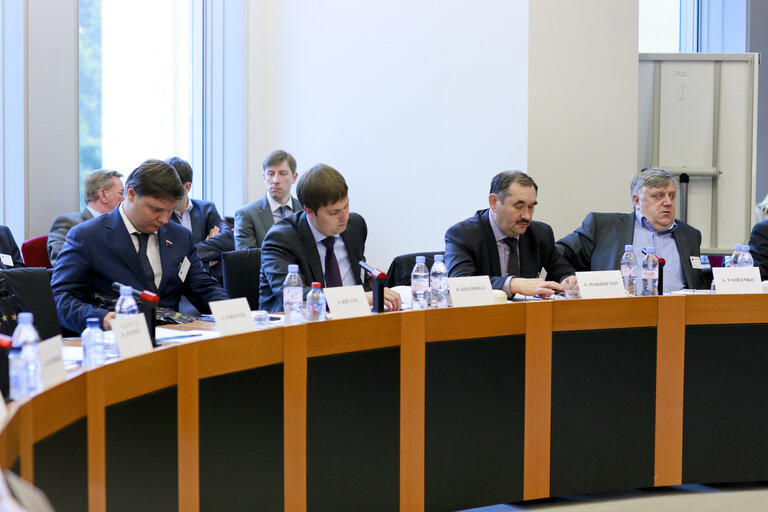 Fotografi 11: Second meeting of Inter Parliamentary working group EU Russia on energy issues