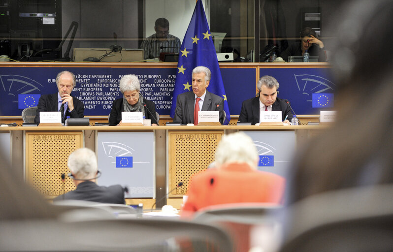 Fotografie 13: PETI committee meeting - Presentation by the European Ombudsman, M. Nikiforos Diamandouros, of his Annual Report 2012.