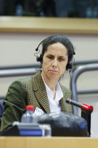 Fotografi 17: FEMM Committee - Public Hearing on Women with disabilities