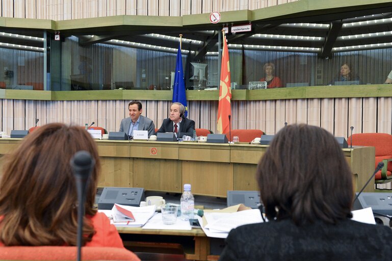 Fotografi 48: European Union - Former Yugoslav republic of Macedonia joint parliamentary committee.