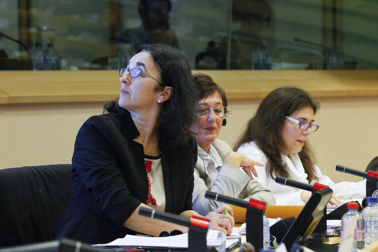 Fotografi 20: FEMM Committee - Public Hearing on Women with disabilities