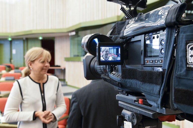 Fotografi 2: European Union - Former Yugoslav republic of Macedonia joint parliamentary committee.