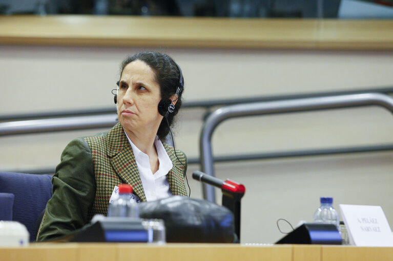 Fotografi 18: FEMM Committee - Public Hearing on Women with disabilities