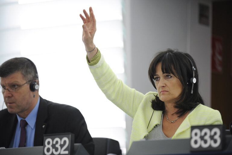 Foto 6: Plenary session week 21 2013