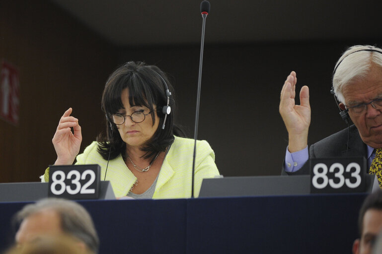 Foto 7: Plenary session week 21 2013