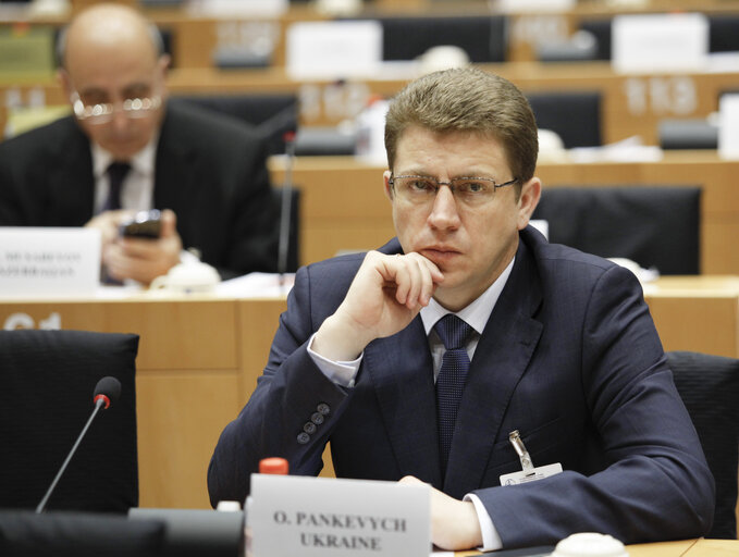 Billede 16: Second day of the 3rd Ordinary Session of the Euronest Parliamentary Assembly