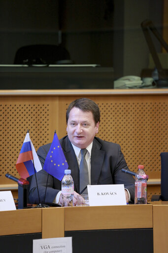 Fotografi 3: Second meeting of Inter Parliamentary working group EU Russia on energy issues