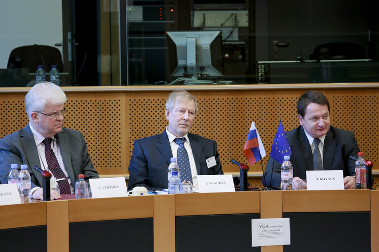 Fotografi 4: Second meeting of Inter Parliamentary working group EU Russia on energy issues