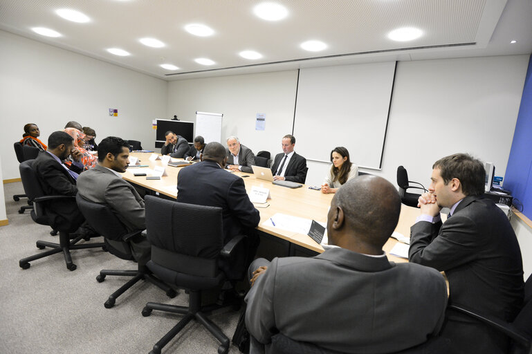 Foto 13: Mep's meet with a Group of Sudan Young Political Leaders