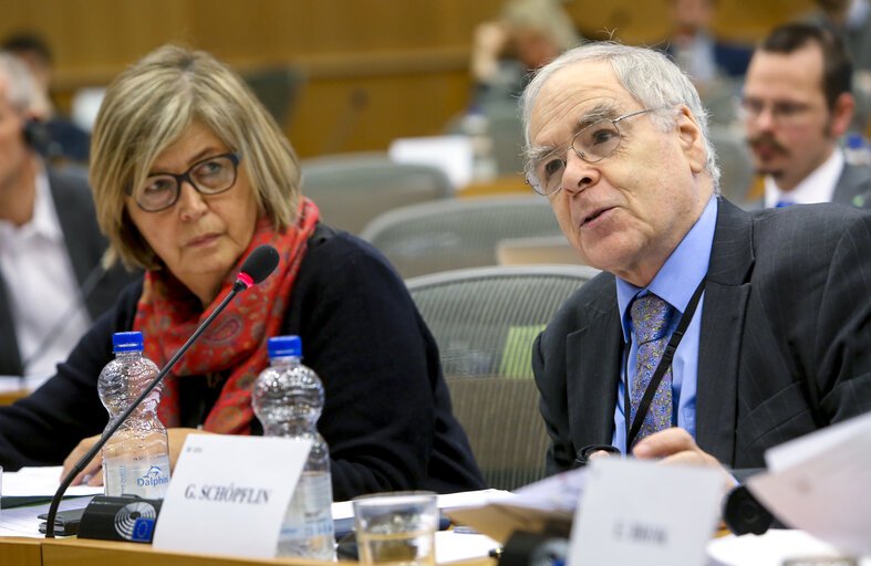 Fotografia 5: AFCO Committee meeting  ' The withdrawal of the United Kingdom from the European Union (Article 50 TEU) ' - Exchange of views on the state of play of the negotiations on Brexit, with the participation of the Parliament's coordinator for the negotiations on the UK withdrawal from the EU, and with a member of the Parliament's Brexit Steering Group