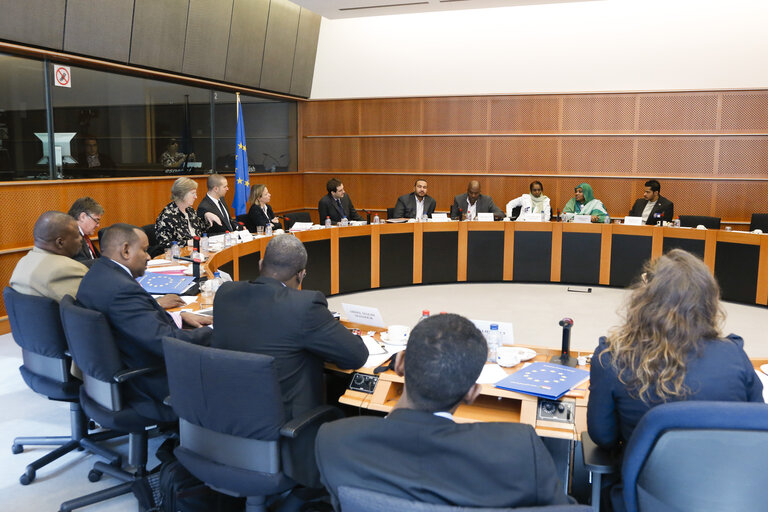 Foto 9: Exchange of views between EU Special Representative to Sudan and group of the Sudan Young Political Leaders