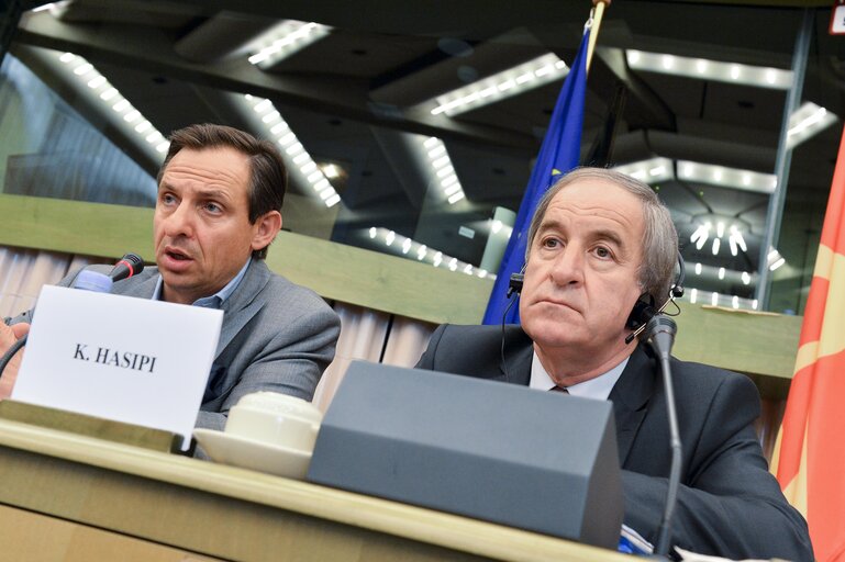 Fotografi 46: European Union - Former Yugoslav republic of Macedonia joint parliamentary committee.