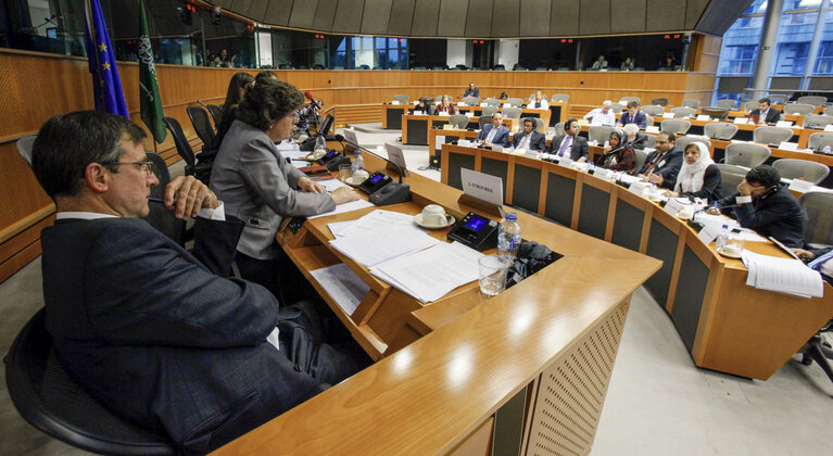 Zdjęcie 18: 11th European Parliament-Majlis Ash-Shura of the Kingdom of Saudi Arabia  Interparliamentary Meeting