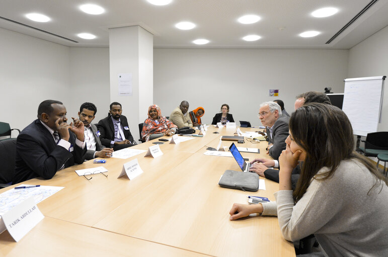 Foto 12: Mep's meet with a Group of Sudan Young Political Leaders