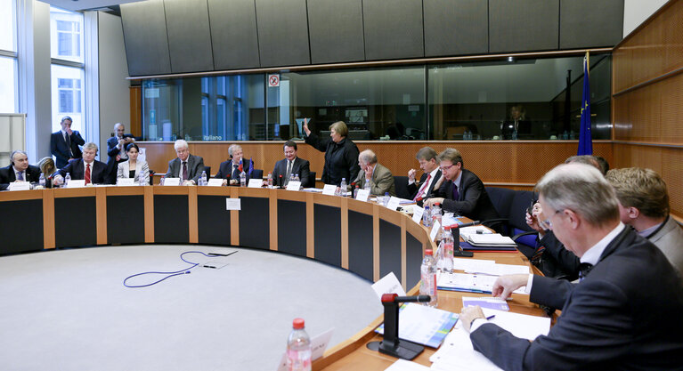 Photo 5 : Second meeting of Inter Parliamentary working group EU Russia on energy issues