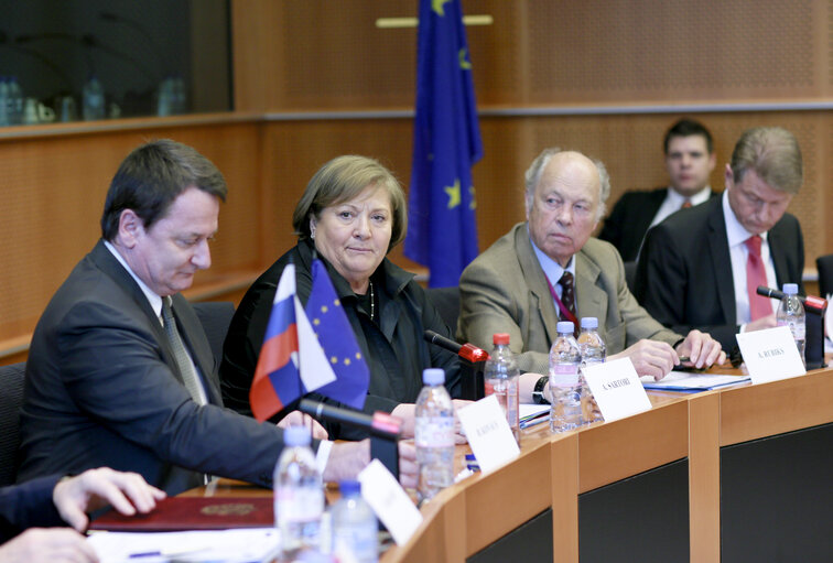 Photo 8 : Second meeting of Inter Parliamentary working group EU Russia on energy issues