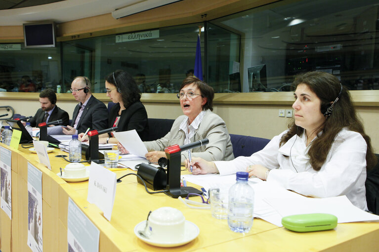 Fotografi 13: FEMM Committee - Public Hearing on Women with disabilities