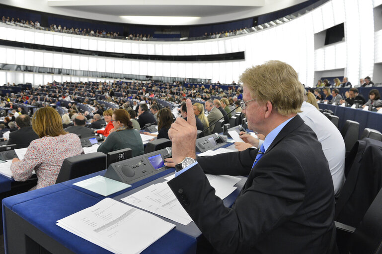 MEP Thomas MANN during the votes in plenary session in Strasbourg week 21 2013