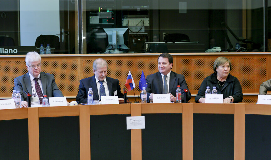 Photo 9 : Second meeting of Inter Parliamentary working group EU Russia on energy issues