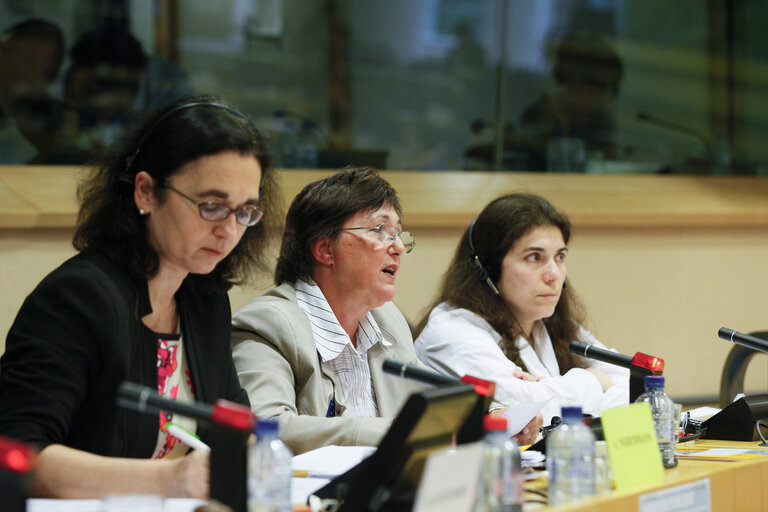 Fotografi 15: FEMM Committee - Public Hearing on Women with disabilities