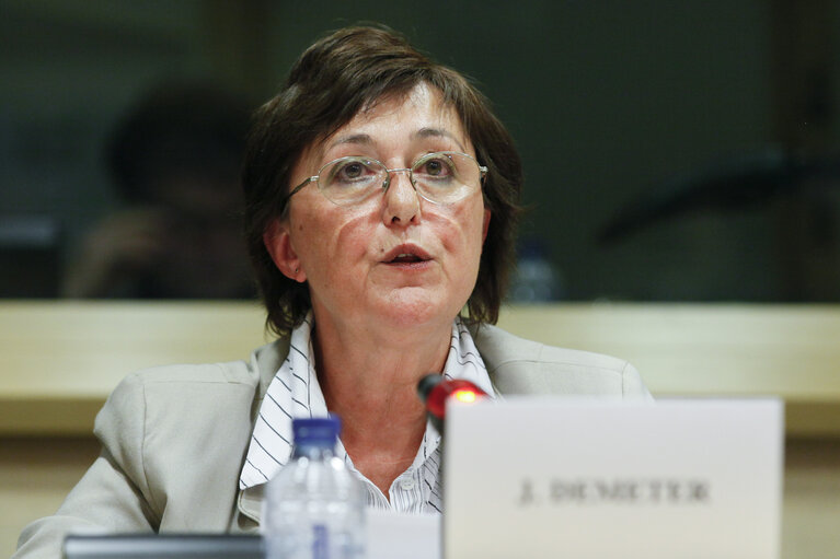 Fotografi 14: FEMM Committee - Public Hearing on Women with disabilities