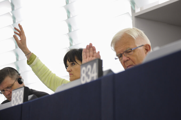 Foto 4: Plenary session week 21 2013