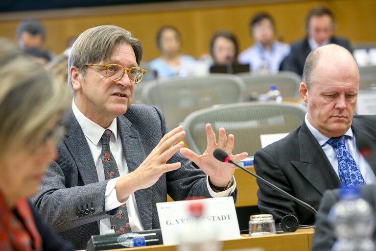 Fotografia 13: AFCO Committee meeting  ' The withdrawal of the United Kingdom from the European Union (Article 50 TEU) ' - Exchange of views on the state of play of the negotiations on Brexit, with the participation of the Parliament's coordinator for the negotiations on the UK withdrawal from the EU, and with a member of the Parliament's Brexit Steering Group