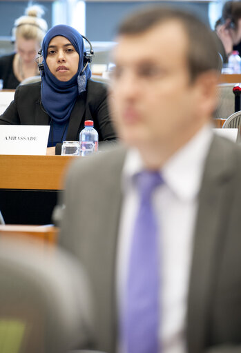 Fotagrafa 9: DROI Sub-Committee meeting. Exchange of views with the EU Ambassador to Yemen on the situation in Yemen.