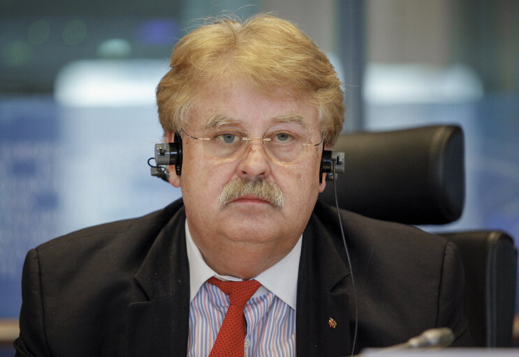 Zdjęcie 38: AFET Committee Meeting with prime minister of Serbia