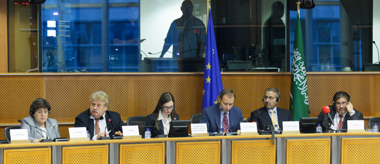 Zdjęcie 33: 11th European Parliament-Majlis Ash-Shura of the Kingdom of Saudi Arabia  Interparliamentary Meeting
