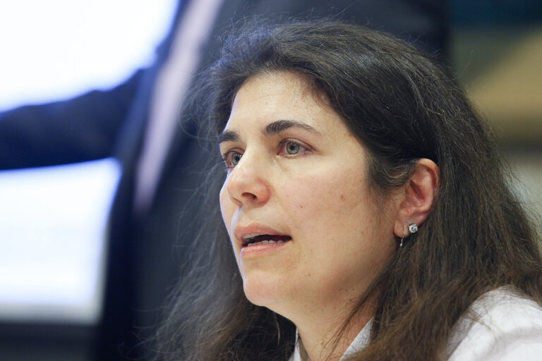 Fotografi 22: FEMM Committee - Public Hearing on Women with disabilities