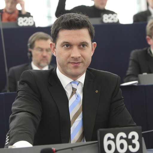 Petru Constantin LUHAN in Plenary session week 11 2013