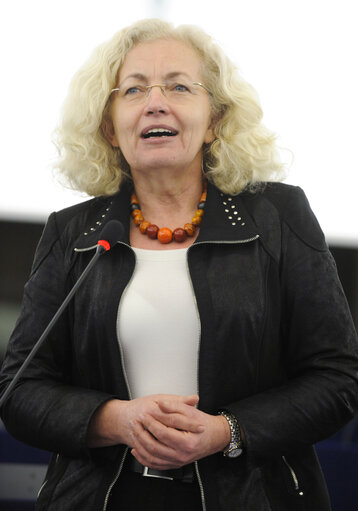 Fotografi 14: Plenary Session week 11 2013 in Strasbourg - Preparations for the European Council meeting