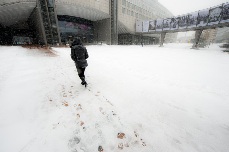 Fotogrāfija 22: Winter hits Brussels, with freezing temperatures and snow covering the EP buildings