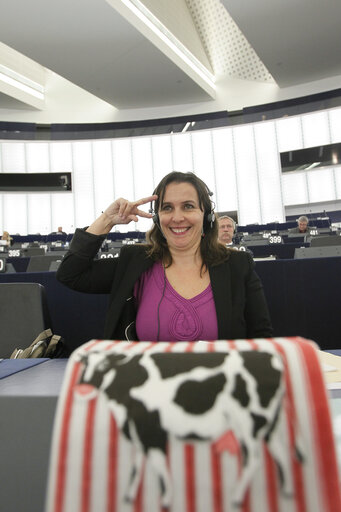 Foto 1: Ana MIRANDA takes part in the CAP reform debate in Strasbourg