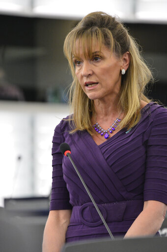 Plenary session week 11 2013 in Strasbourg - Problems in the food supply chain in the context of the recent horsemeat issue  Commission statement