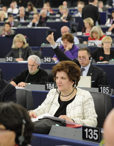 Antigoni PAPADOPOULOU in Plenary session week 11 2013