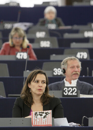 Foto 4: Ana MIRANDA takes part in the CAP reform debate in Strasbourg