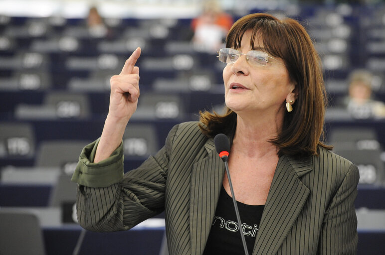 Fotografi 30: Plenary Session week 11 2013 in Strasbourg - Preparations for the European Council meeting