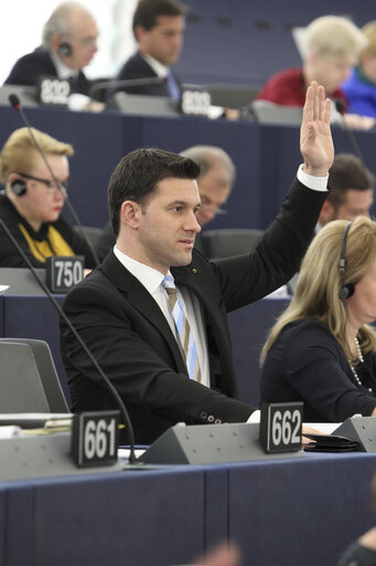 Petru Constantin LUHAN in Plenary session week 11 2013