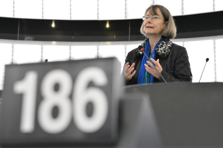 Fotografi 18: Plenary session week 11 2013 in Strasbourg - Joint debate - Dispute resolution for consumers